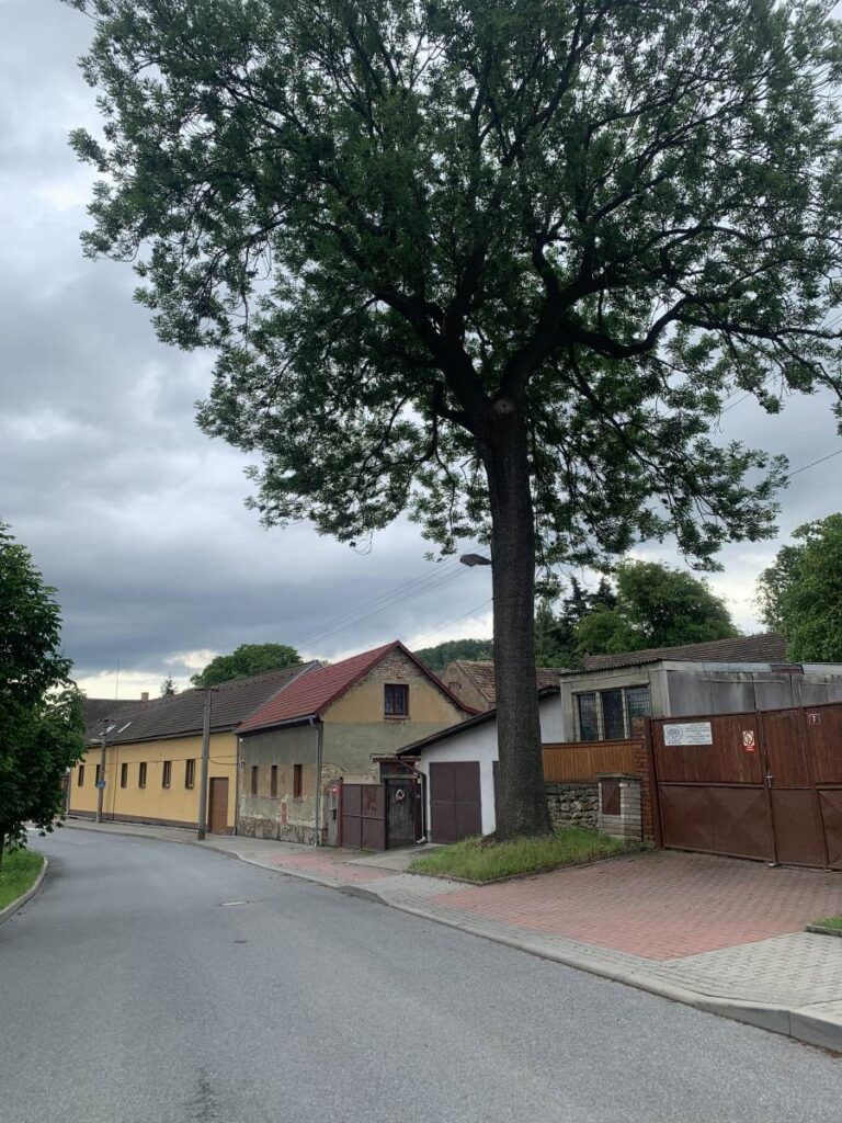 Střechy koněprusy Beroun